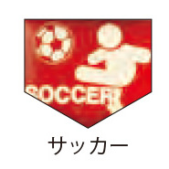 サッカーのモチーフ